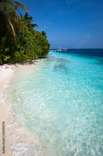 A white coral sand beach in the Maldives © timsimages.uk