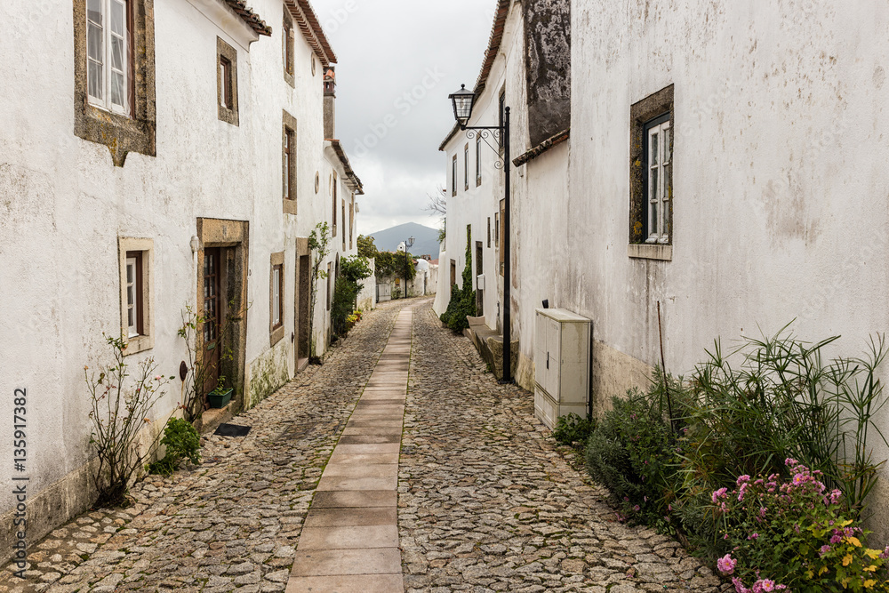 Narrow alley in the old town of Marvao. Portugal.