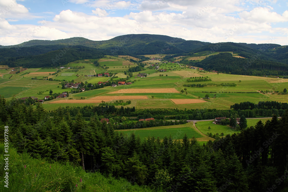 beautiful landscape in the Black Forest in Germany