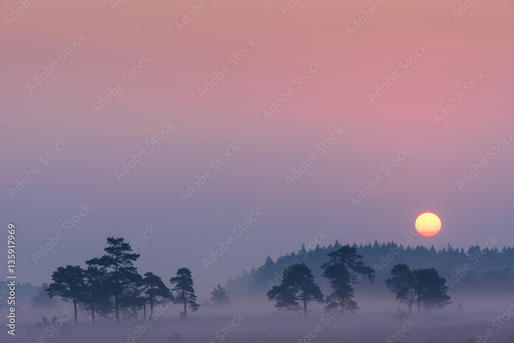 Sunrise at Domaine de Bérinzenne, a nature reserve in Belgium