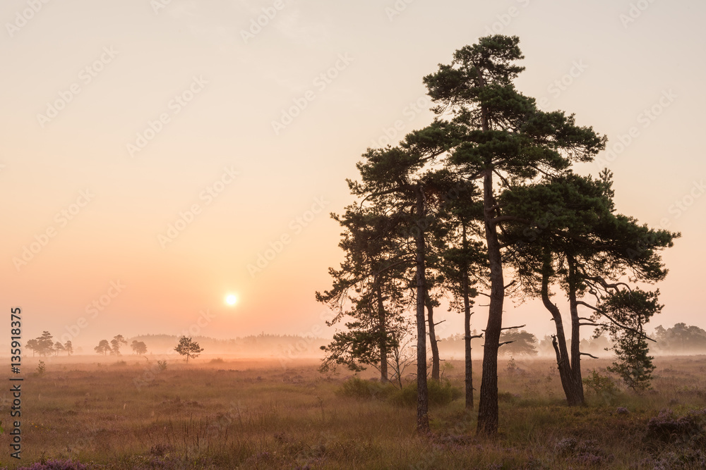 Sunrise at Domaine de Bérinzenne, a nature reserve in Belgium