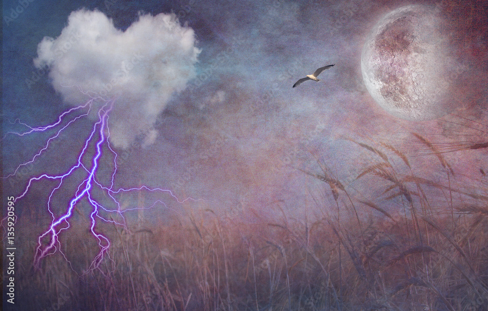 Fototapeta premium Textured heart cloud and open field with moon