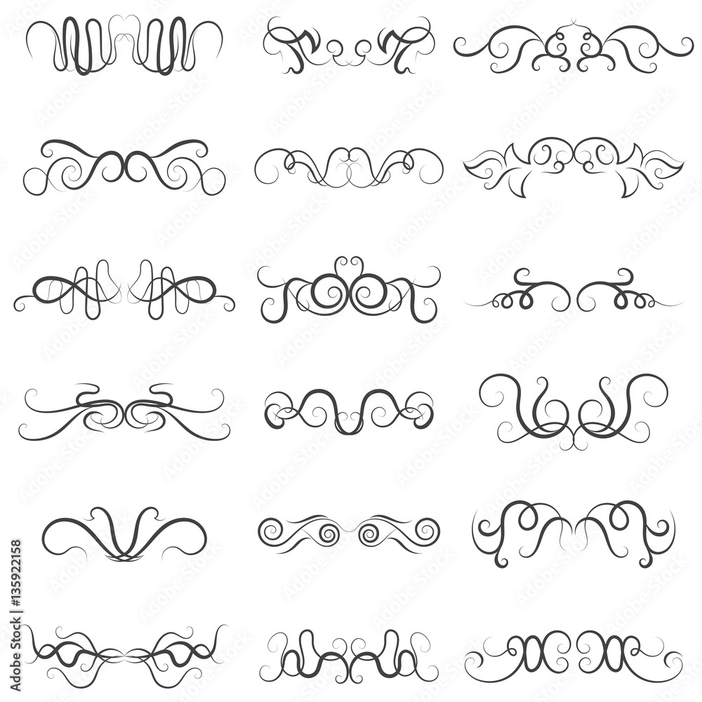 vector illustration set of border calligraphic and dividers decorative