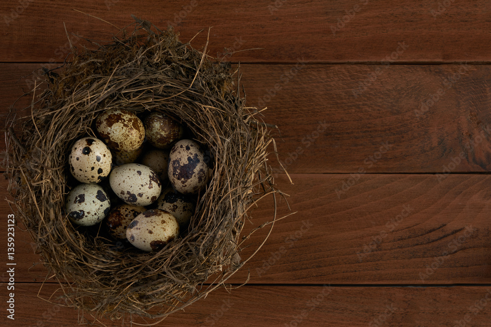 Quail easter egg in nest on wooden table background with copy space, top view. Easter food concept. Quail easter egg in nest on wooden table background with copy space, top view. Easter food concept.
