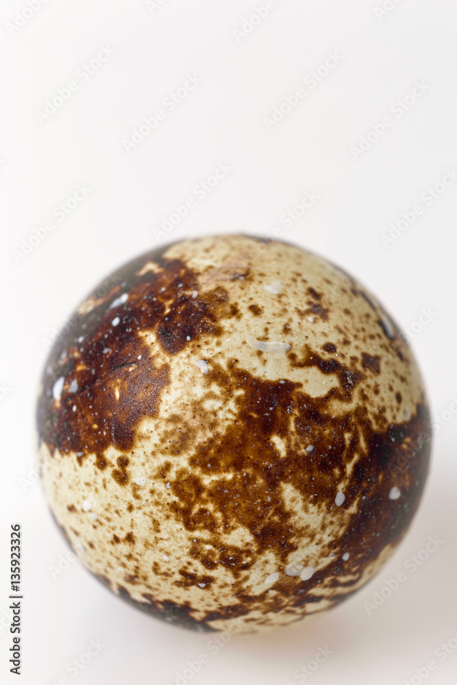 Quail Egg Quail Egg