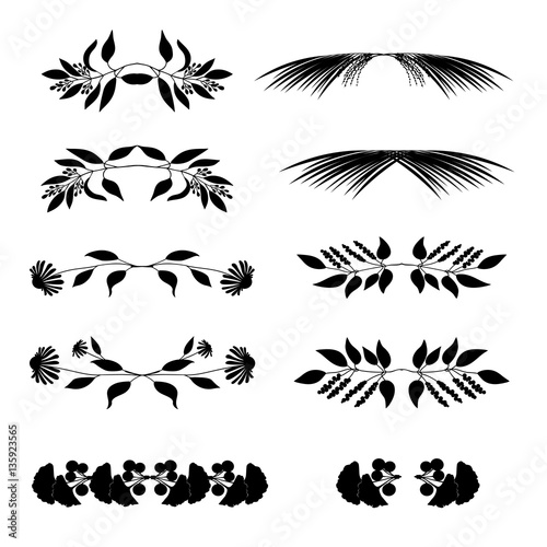 Elegant floral decorative elements set