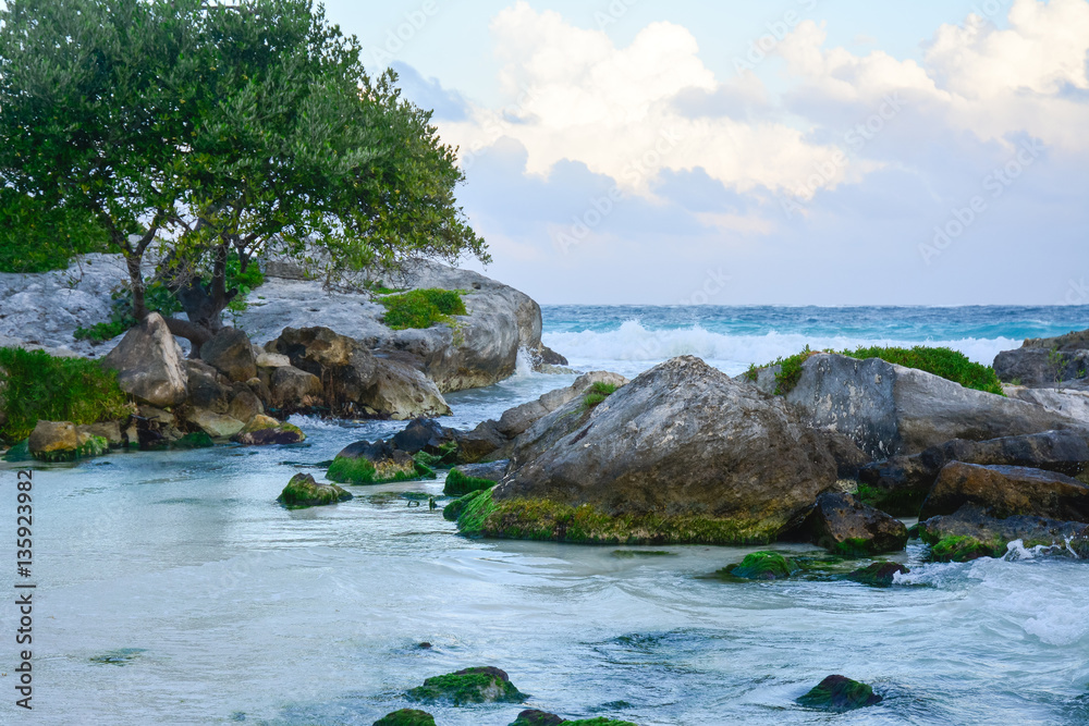 Baum und Felsen am türkisen Meer, Tulum, Mexiko Baum und Felsen am türkisen Meer, Tulum, Mexiko