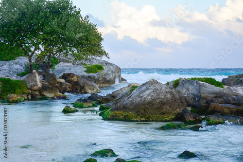 Baum und Felsen am türkisen Meer, Tulum, Mexiko
