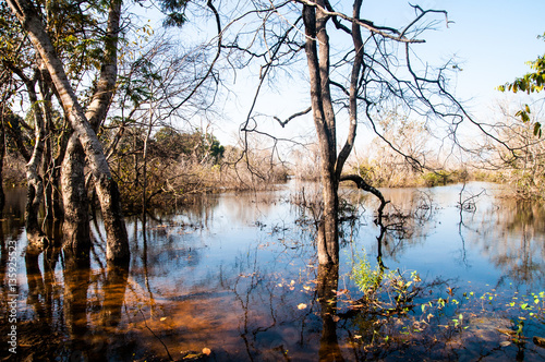 SIEM REAP, CAMBODIA. A small river near Siem Reap