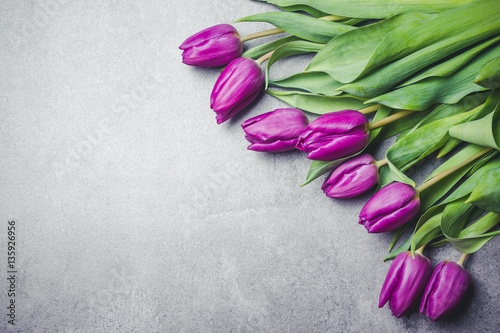 Fototapeta Naklejka Na Ścianę i Meble -  Purple tulips flowers on gray rock surface.