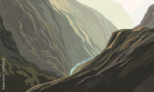 MOUNTAIN FOREST