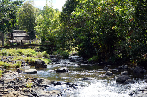 River and bridge photo