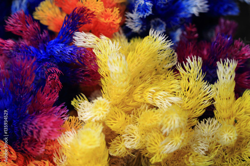 plastic color corals