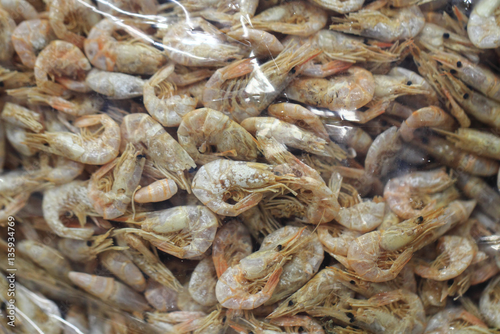 small dried shrimps small dried shrimps