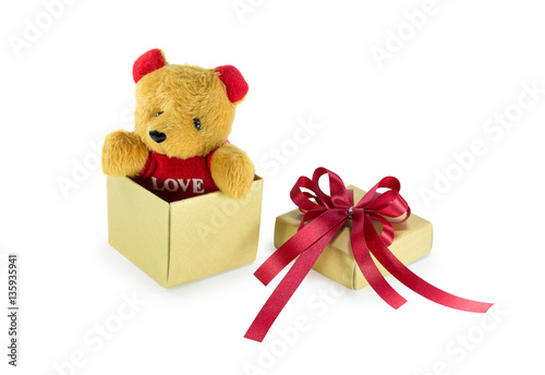 Teddy bear in the gift box © akkalak