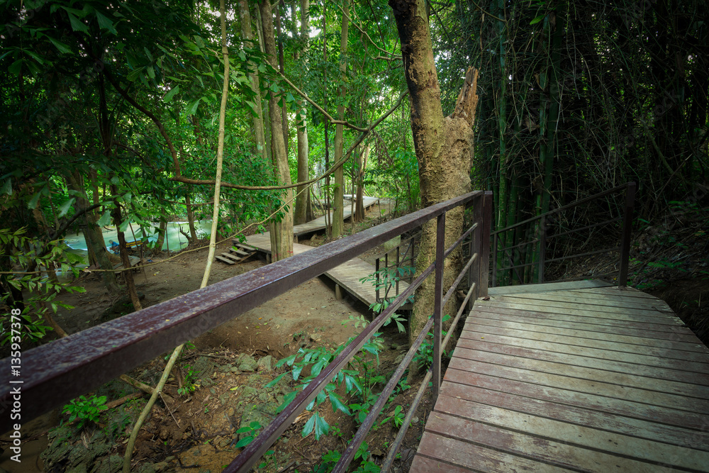 Obraz premium Waterfall in the forest at Huay Mae Kamin waterfall National Par