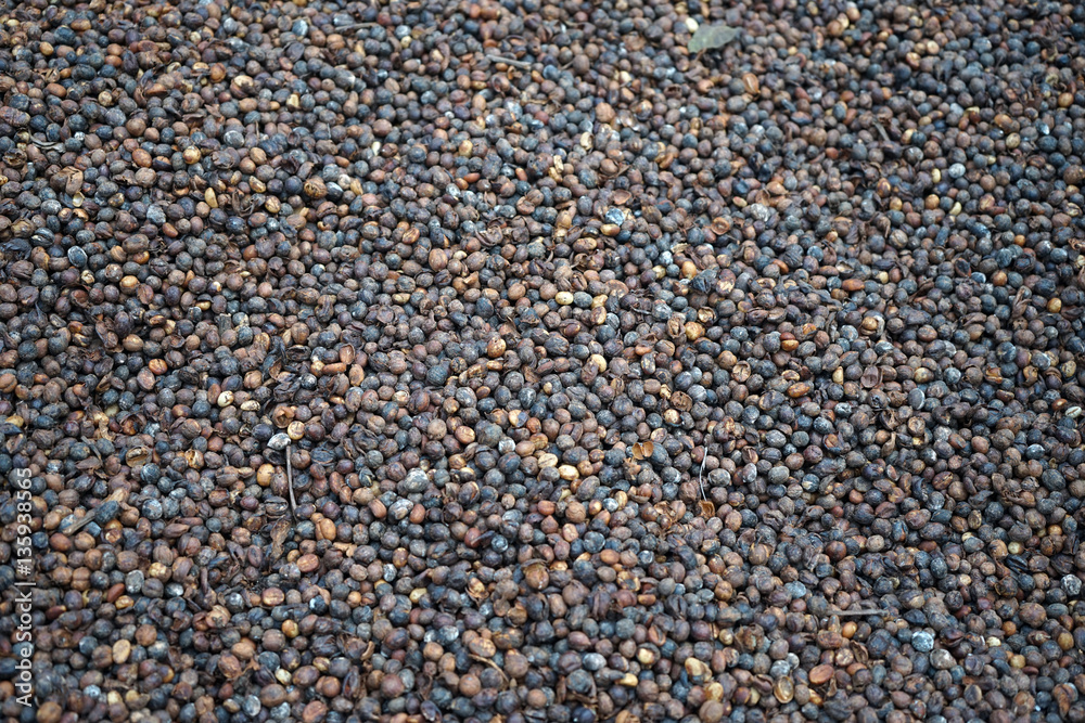 Dry coffe grain Dry coffe grain