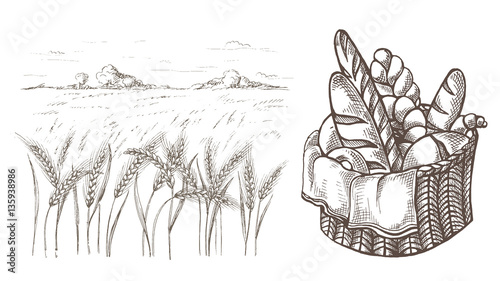 Fresh Bread Basket and Ears of wheat in graphic style