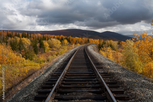 Rail and surroundings in autumn colors. Polar Urals. Russia.