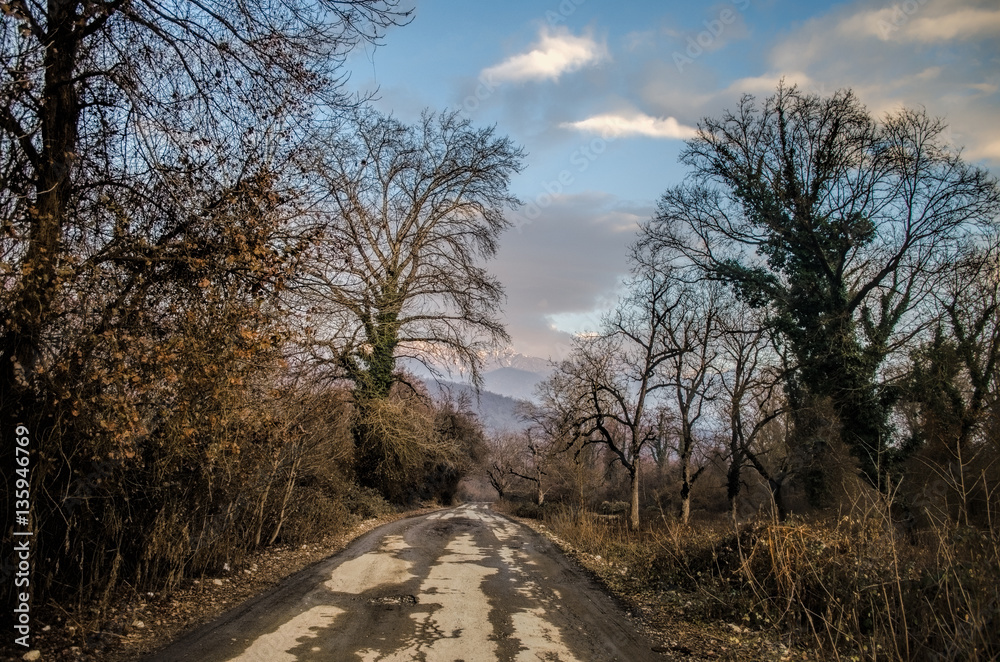 Beautiful landscape of country side road with trees in winter time at sunset. Azerbaijan, Caucasus, Sheki, Gakh, Zagatala Beautiful landscape of country side road with trees in winter time at sunset. Azerbaijan, Caucasus, Sheki, Gakh, Zagatala