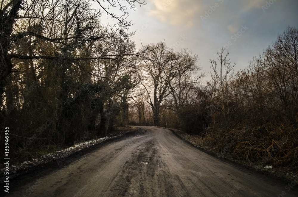 Beautiful landscape of country side road with trees in winter time at sunset. Azerbaijan, Caucasus, Sheki, Gakh, Zagatala Beautiful landscape of country side road with trees in winter time at sunset. Azerbaijan, Caucasus, Sheki, Gakh, Zagatala