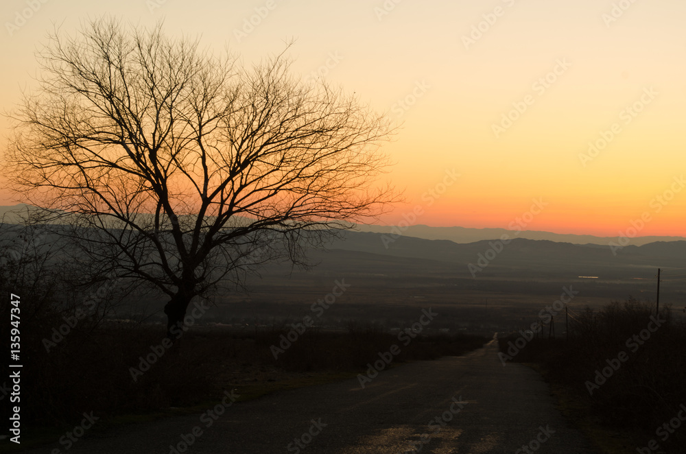 Autumn or winter landscape with road and trees. The gold light beams sunset. On a background of mountains and the sky with clouds. Azerbaijan Caucasus