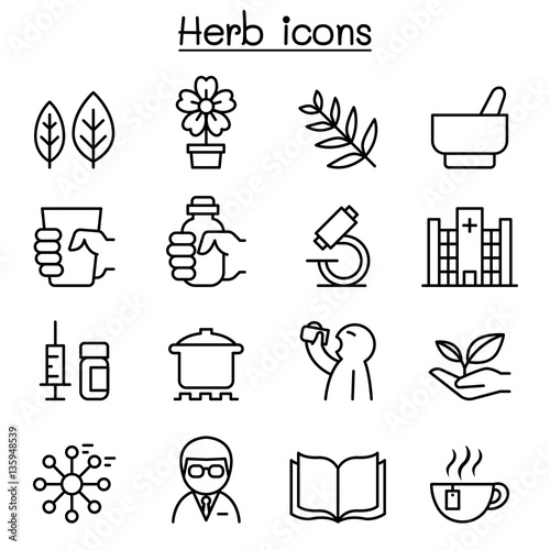 Herb icon set in thin line style