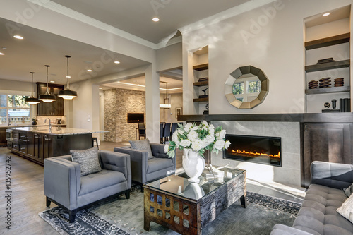 Chic living room filled with built-in fireplace