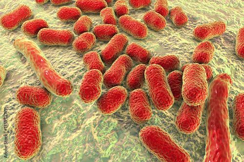 Bacterium Acinetobacter baumannii, multidrug resistant nosocomial bacterium. 3D illustration shows morphology of Acinetobacter such as short rods and sometimes long filamentous cells photo