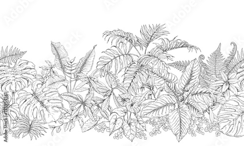 Tropical Plants Line Horizontal Pattern