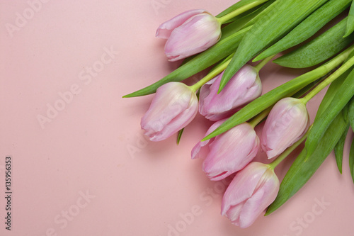 Fototapeta Naklejka Na Ścianę i Meble -  Wooden empty copy space background with fresh bunch of pink spring tulips.