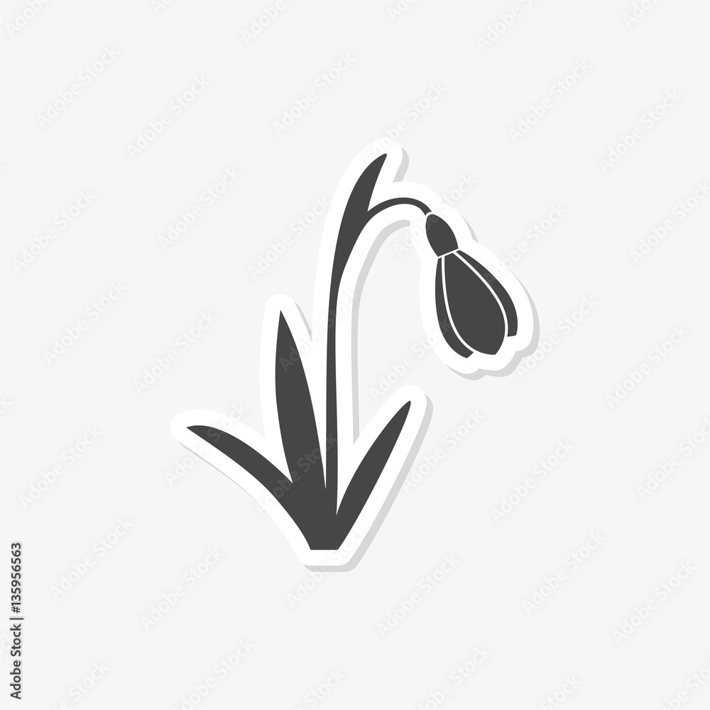 Snowdrop, vector icon - Illustration
