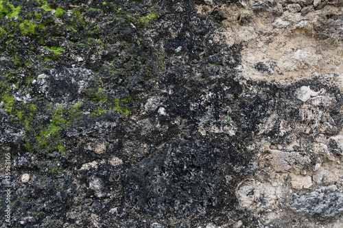 Moss Starting to Grow on Stone Wall