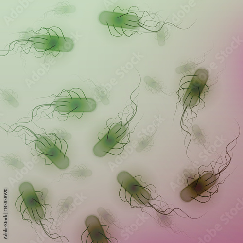 Group of E. coli Bacteria - Vector Illustration