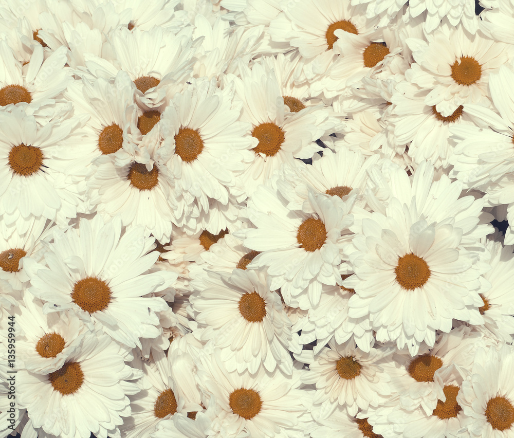 fondo vintage de flores blancas Stock Photo | Adobe Stock