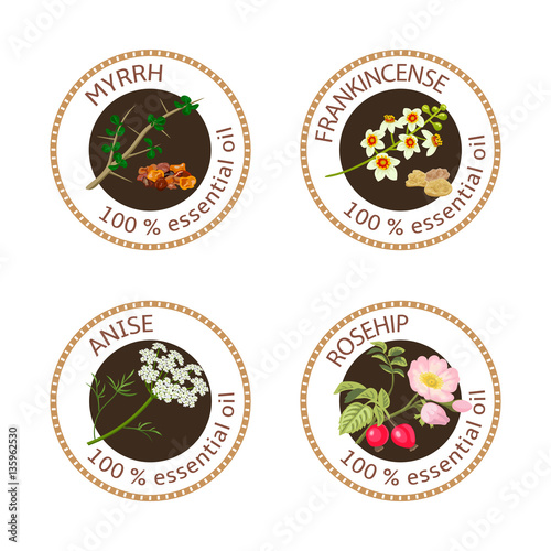 Set of essential oils labels. Myrrh, anise, rosehip, frankincense