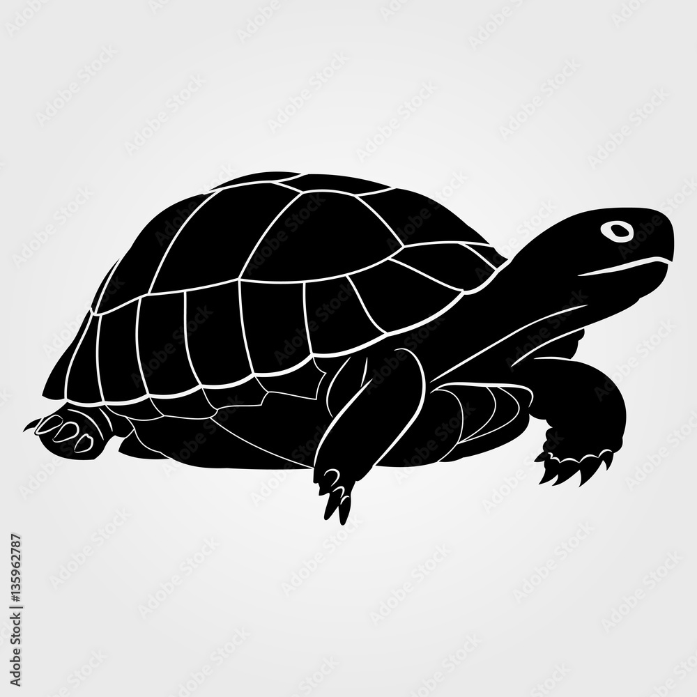 Fototapeta premium Turtle icon on a white background
