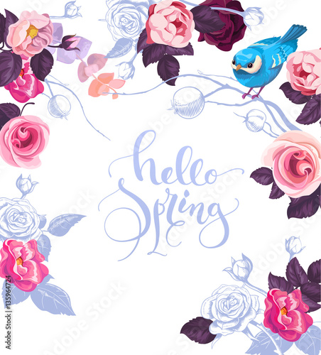 Elegant botanical card with hand written lettering Hello Spring. Cute blue bird, and roses on background. Vector illustration in romantic style for cards, posters, invitations, greeting card