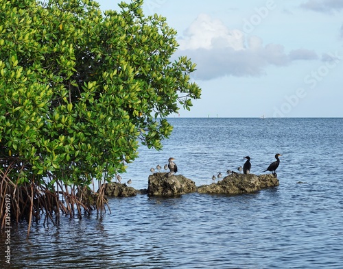 Sate Park in Florida