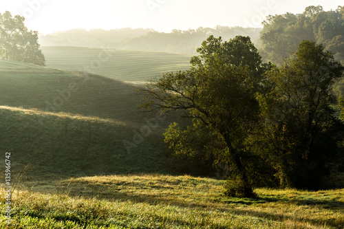 Fototapeta Naklejka Na Ścianę i Meble -  Misty Fields in the Early Morning Light