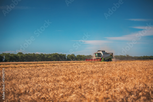 Combine harvester agriculture machine harvesting golden ripe whe