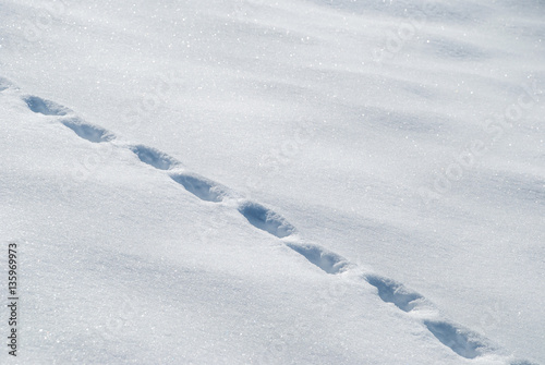 Footprints in snow