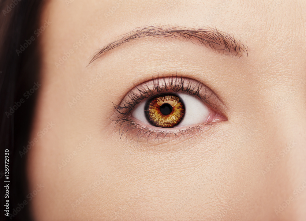 A beautiful insightful look brown woman's eyes