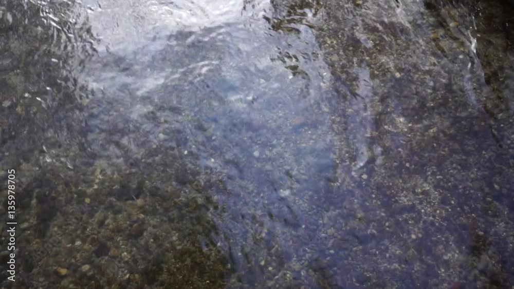 Flusslauf im Wald Flusslauf im Wald