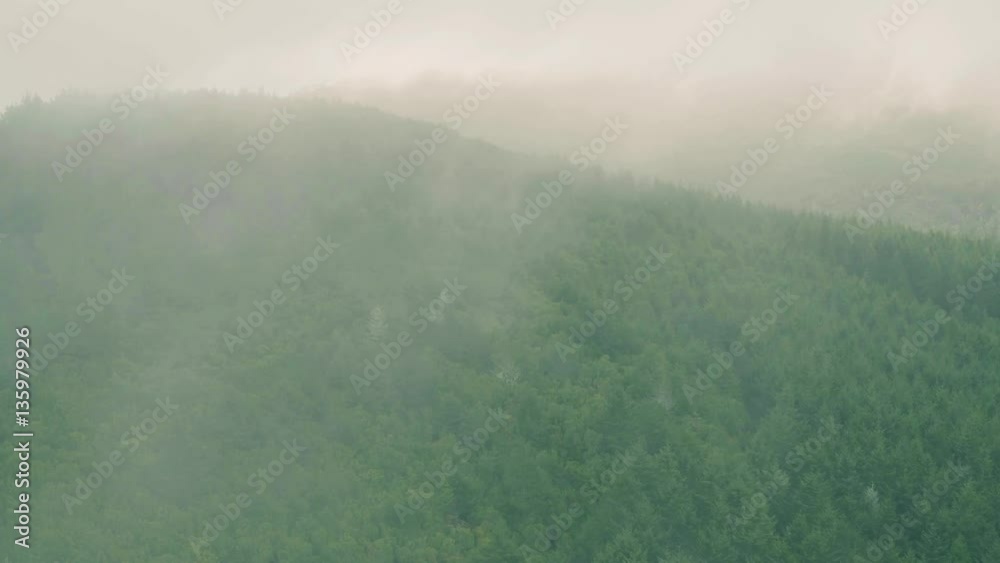 Aerial View of the Mountain Evergreen Forest with Fog Aerial View of the Mountain Evergreen Forest with Fog
