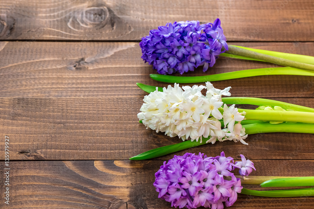 Fresh hyacinth flowers on wooden background. Beautiful idea for greeting cards for Valentine's day, March 8 and mother's day. Free space Fresh hyacinth flowers on wooden background. Beautiful idea for greeting cards for Valentine's day, March 8 and mother's day. Free space