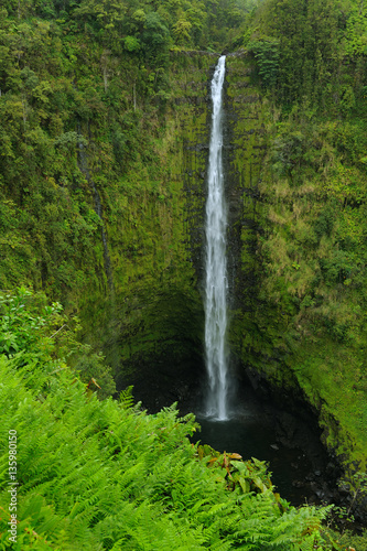 Aka Falls, Big Island Hawaii © Tamela