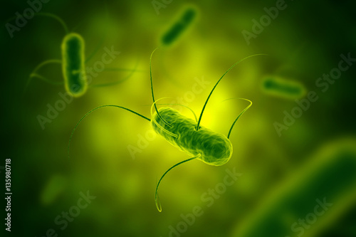 Fotografía Salmonella bacterium with flagella microscopic view 3D illustrat