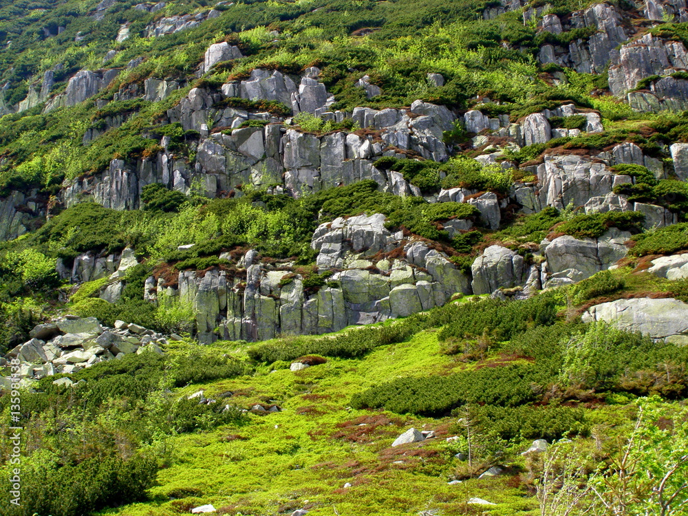 Fototapeta premium Górski pejzaż