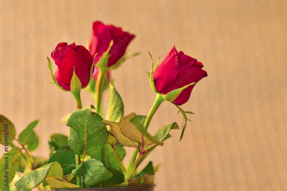 Valentine's Day red rose, Love concept with bouquet of red roses